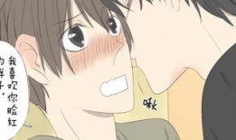 有声动漫,探索有声动漫的魅力世界